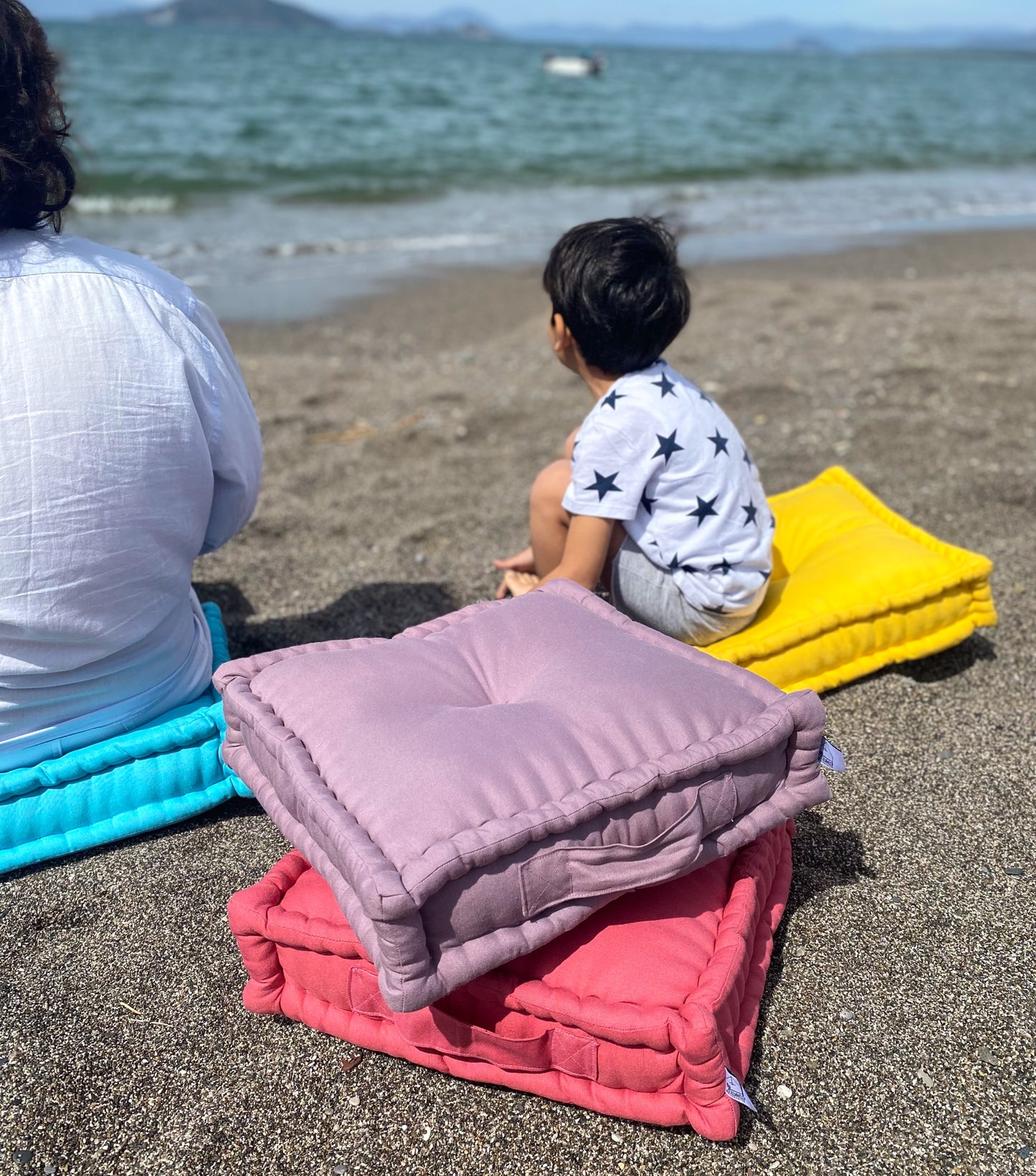 Petit Biscuit Cushion