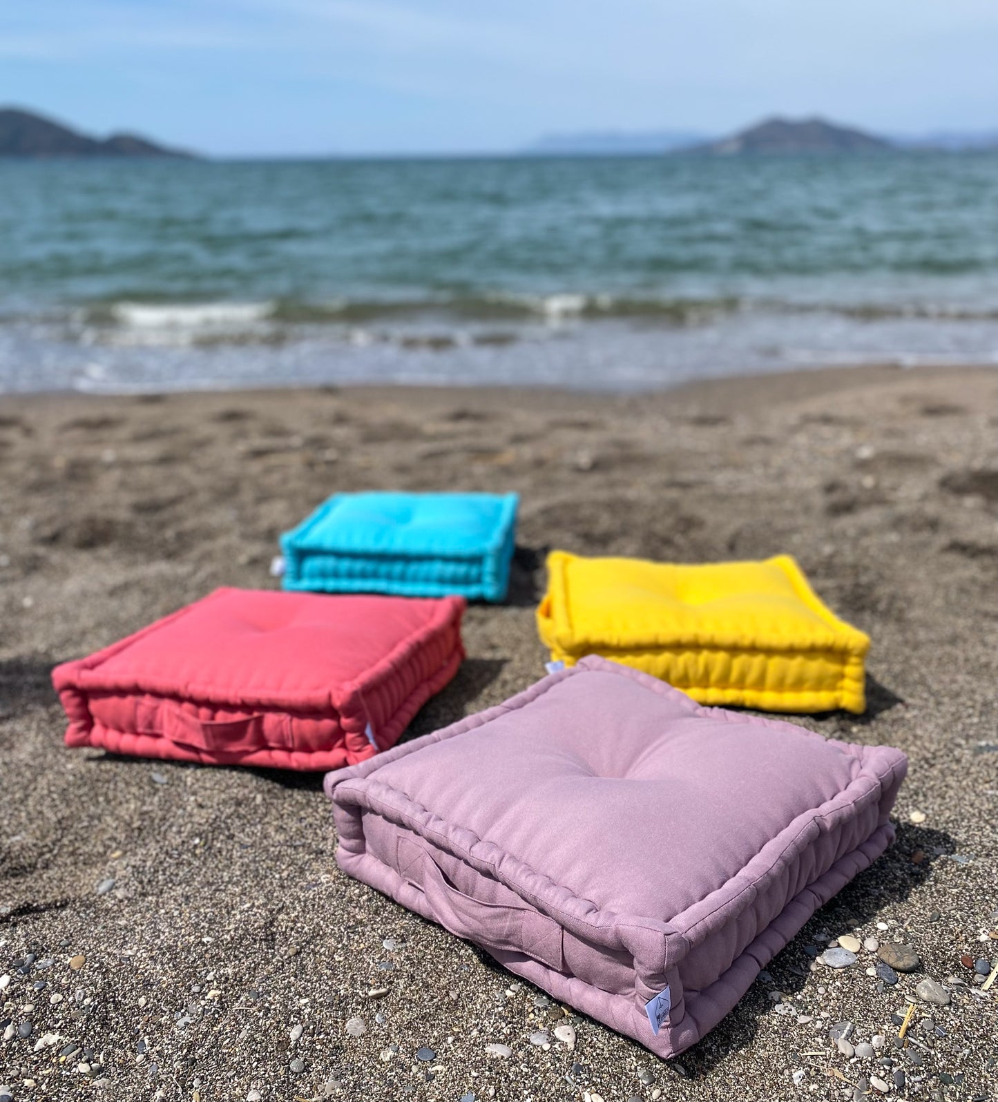 Petit Biscuit Cushion