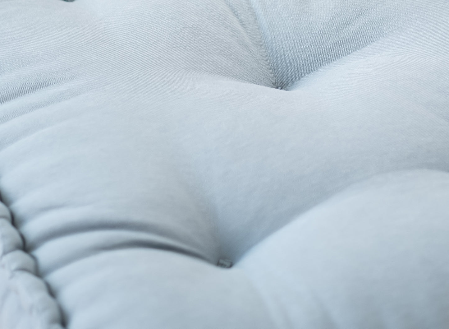 Petit Biscuit Cushion