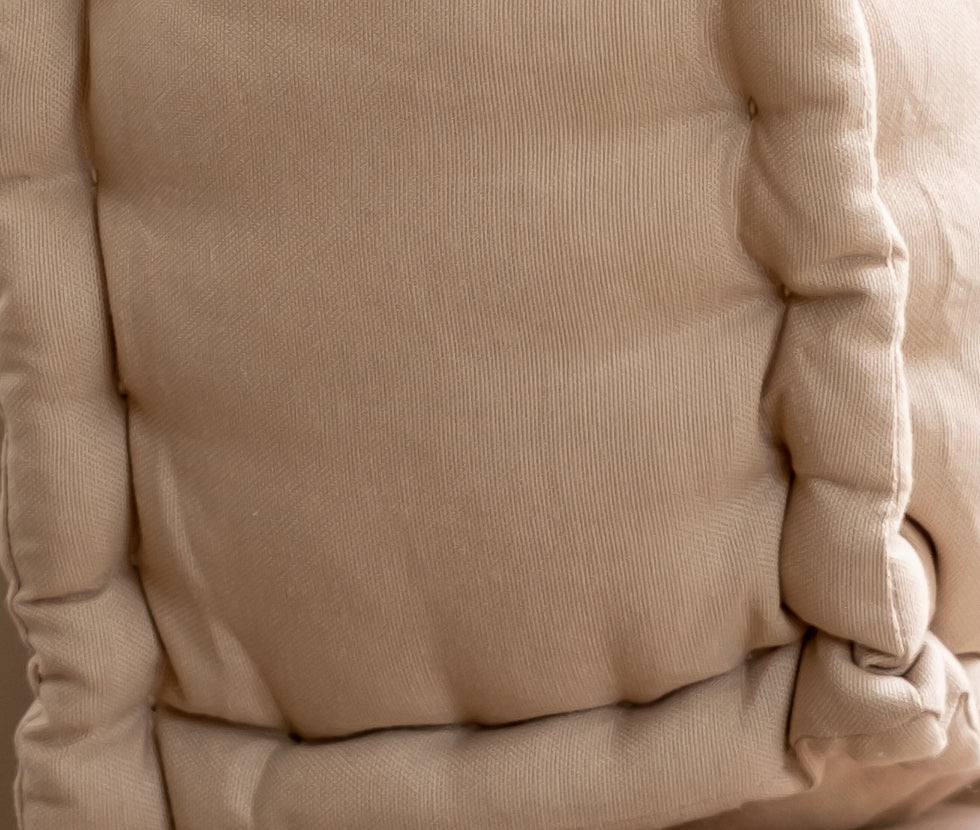 Petit Biscuit Cushion
