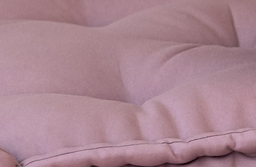 Petit Biscuit Cushion