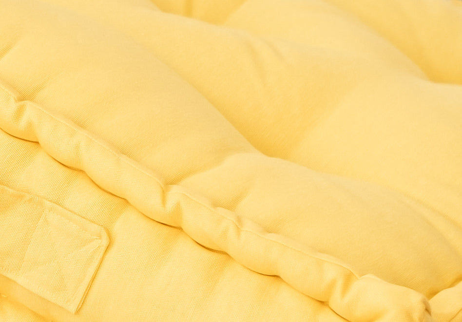 Petit Biscuit Cushion